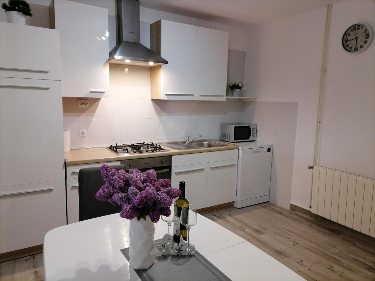 Apartman Nino Rijeka Bagian luar foto